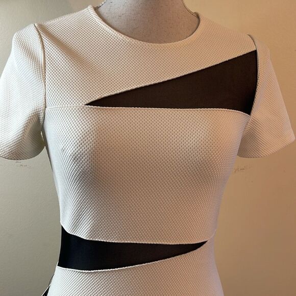 Express BodyCon Dress - Picture 2 of 11